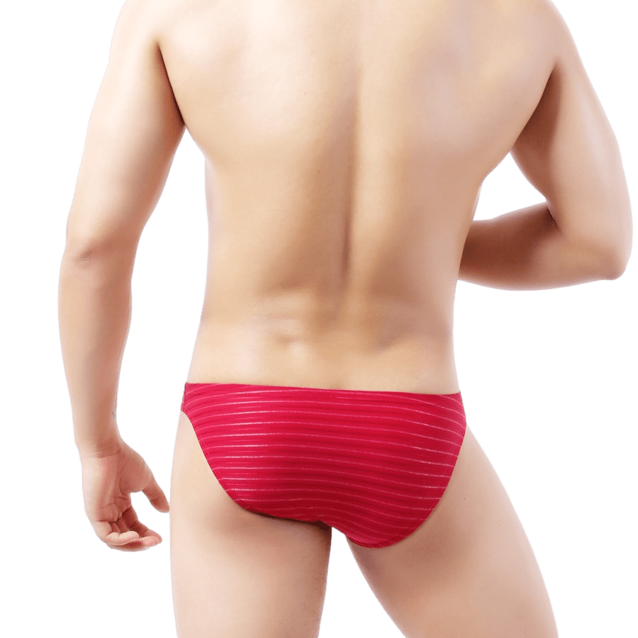 5 Pack Light Striped Bulge Briefs | dmunderwear detail image 6