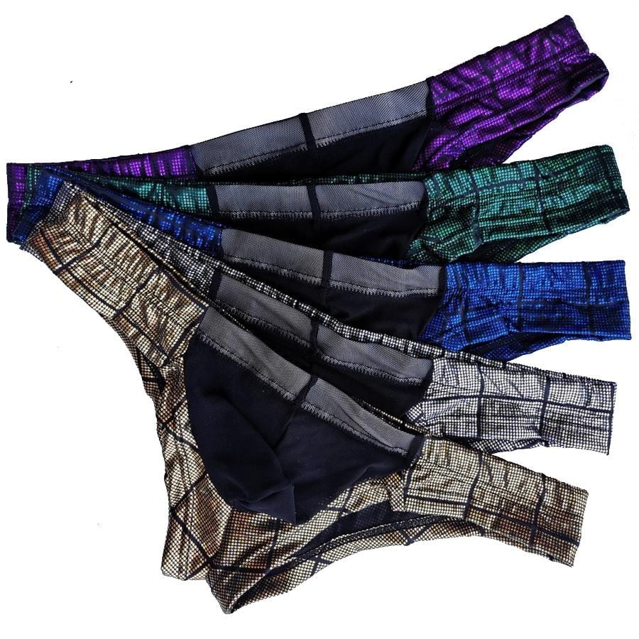 5 Pack Sheer Pouch Party Cheeky Briefs | dmunderwear