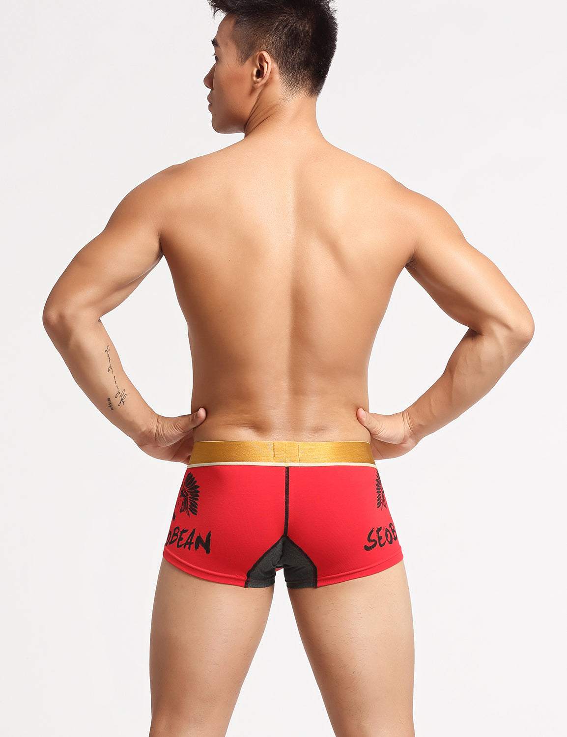 Avatar Boxer Briefs 10203 | dmunderwear detail image 6