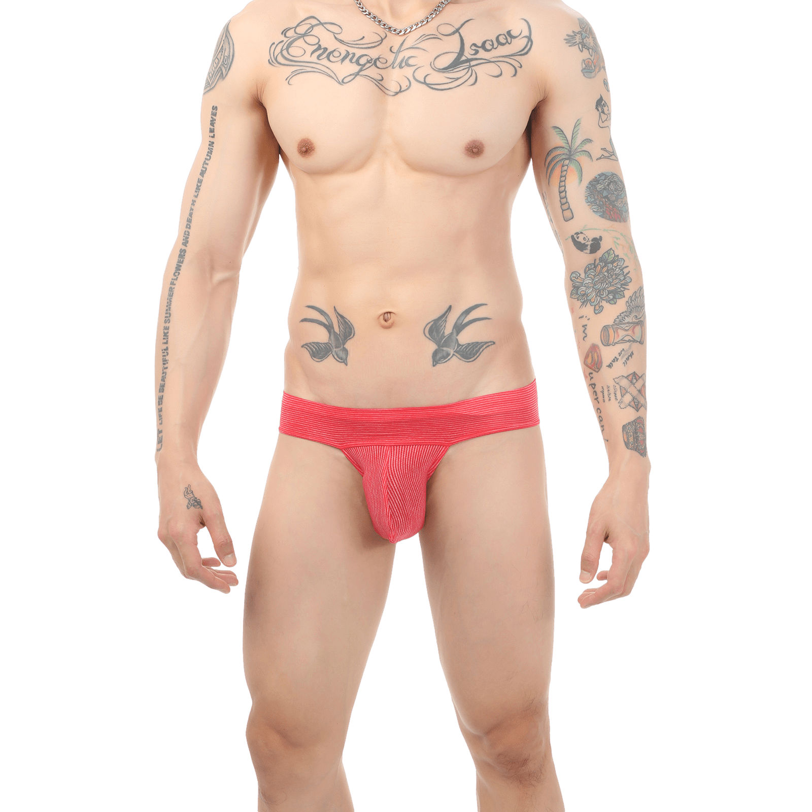Apex Briefs | dmunderwear detail image 18