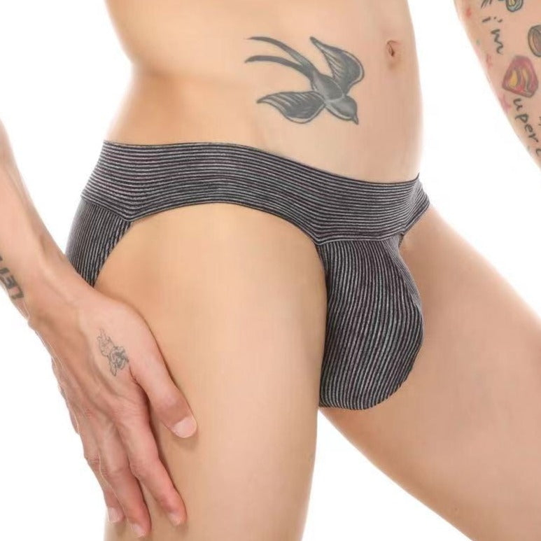 Apex Briefs | dmunderwear detail image 6