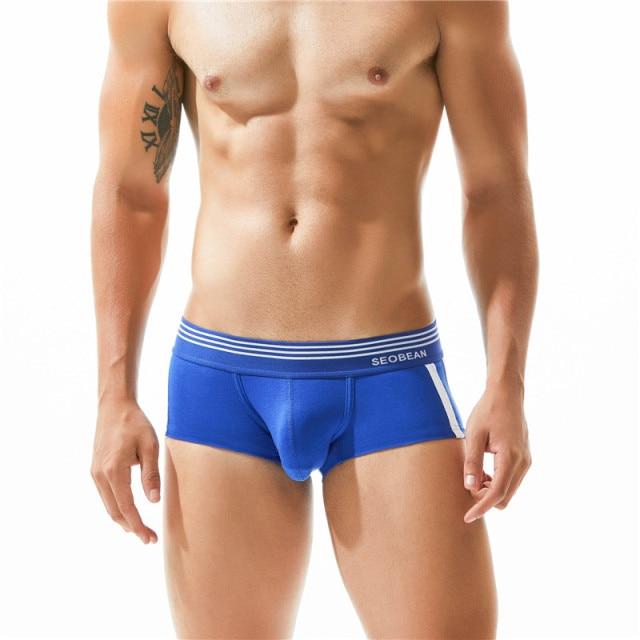 Asset Trunks | dmunderwear detail image 10