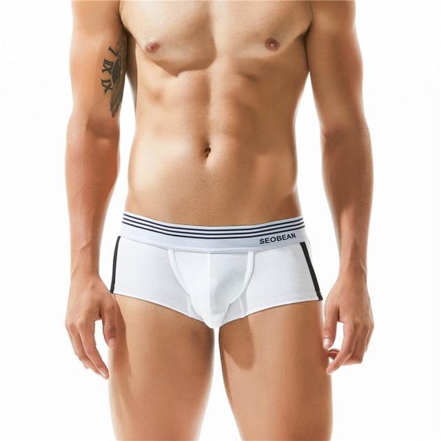 Asset Trunks | dmunderwear detail image 8