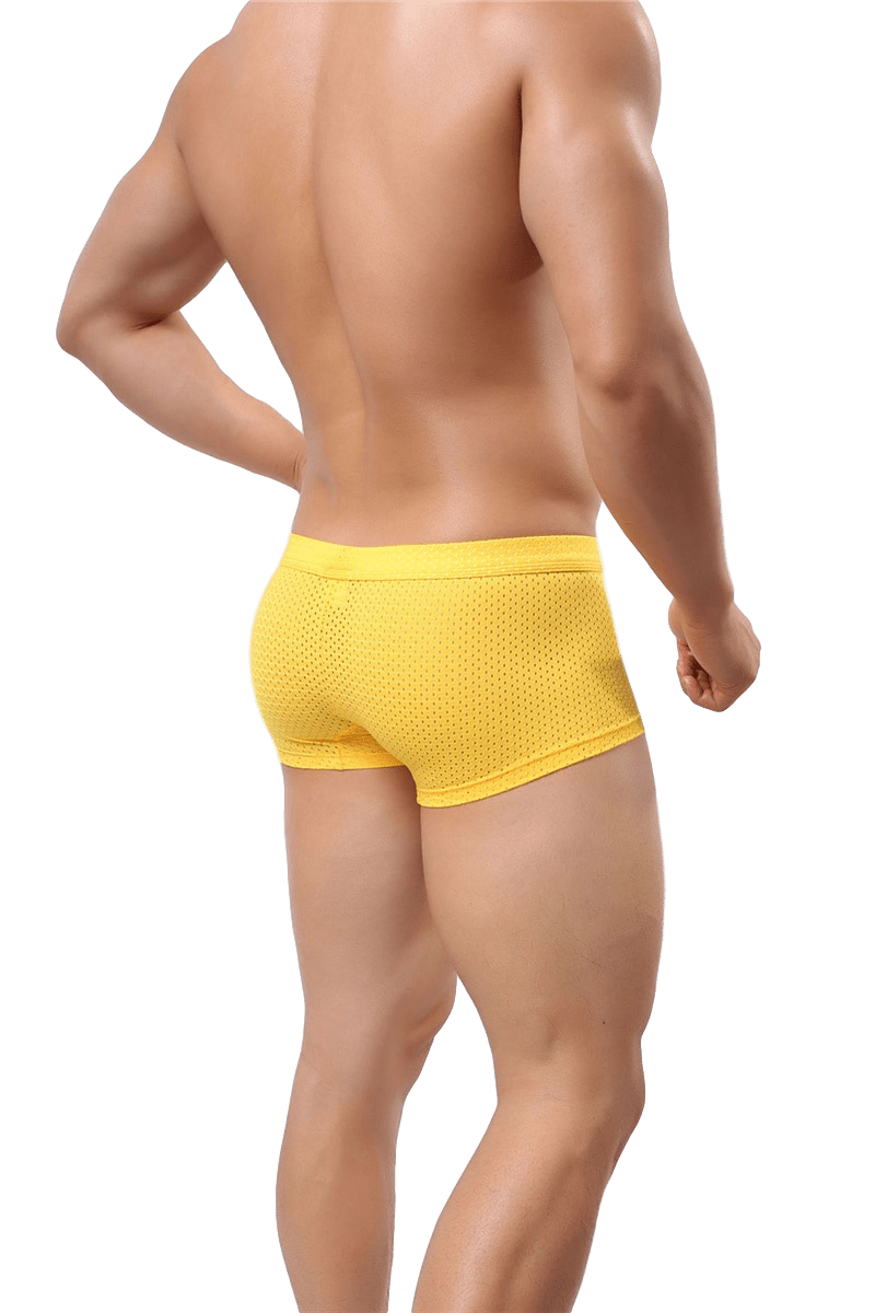 Convex Mesh Trunks | dmunderwear detail image 5
