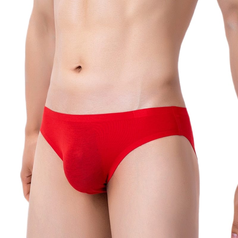 Body-fit Modal Briefs | dmunderwear detail image 14