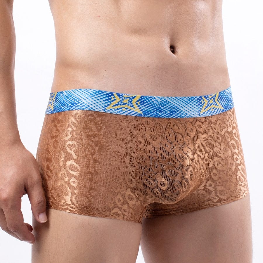 Bold Leopard Lace Trunks | dmunderwear detail image 3