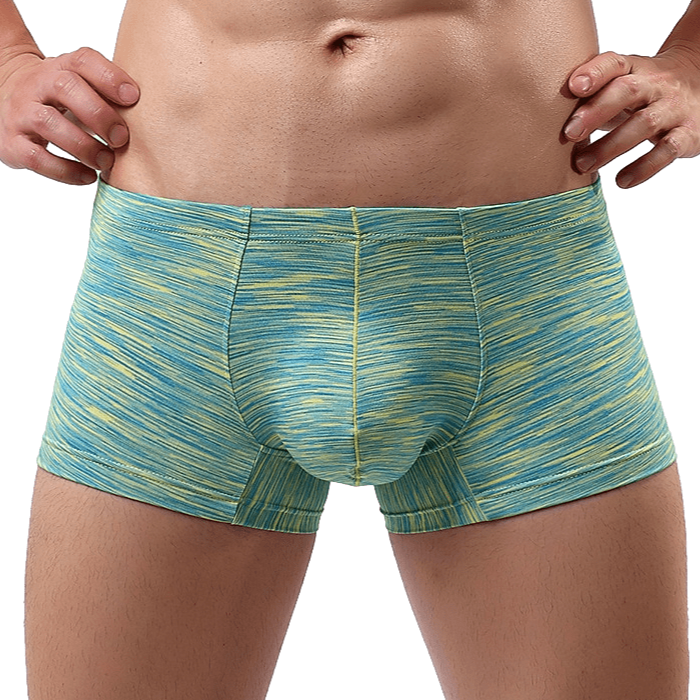 Bulging Smart Trunks | dmunderwear