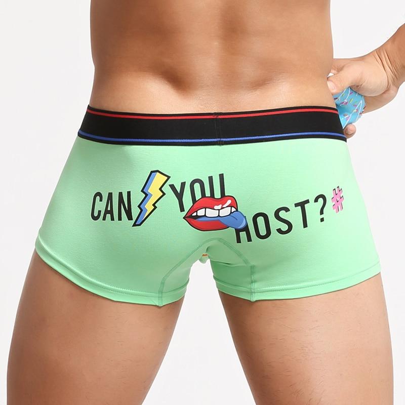 Can You Host Boxer Briefs | dmunderwear variant image