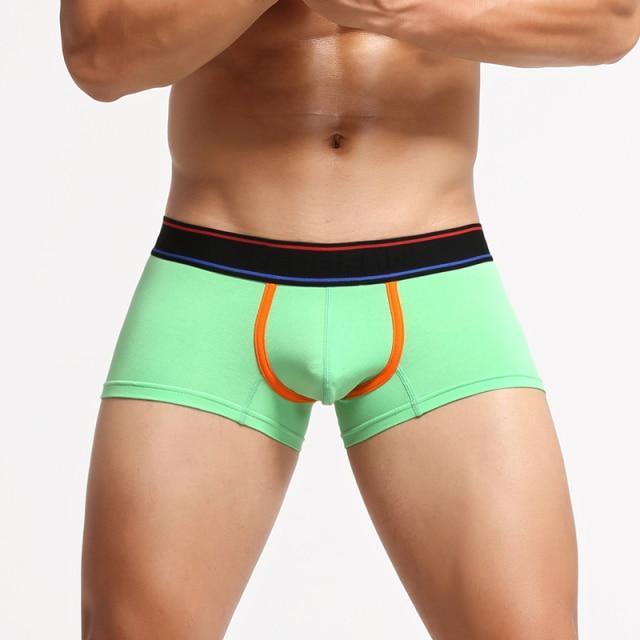Can You Host Boxer Briefs | dmunderwear detail image 3