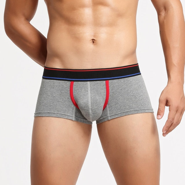 Can You Host Boxers | dmunderwear detail image 11