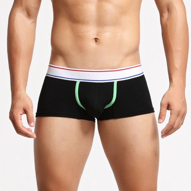 Can You Host Boxers | dmunderwear variant image