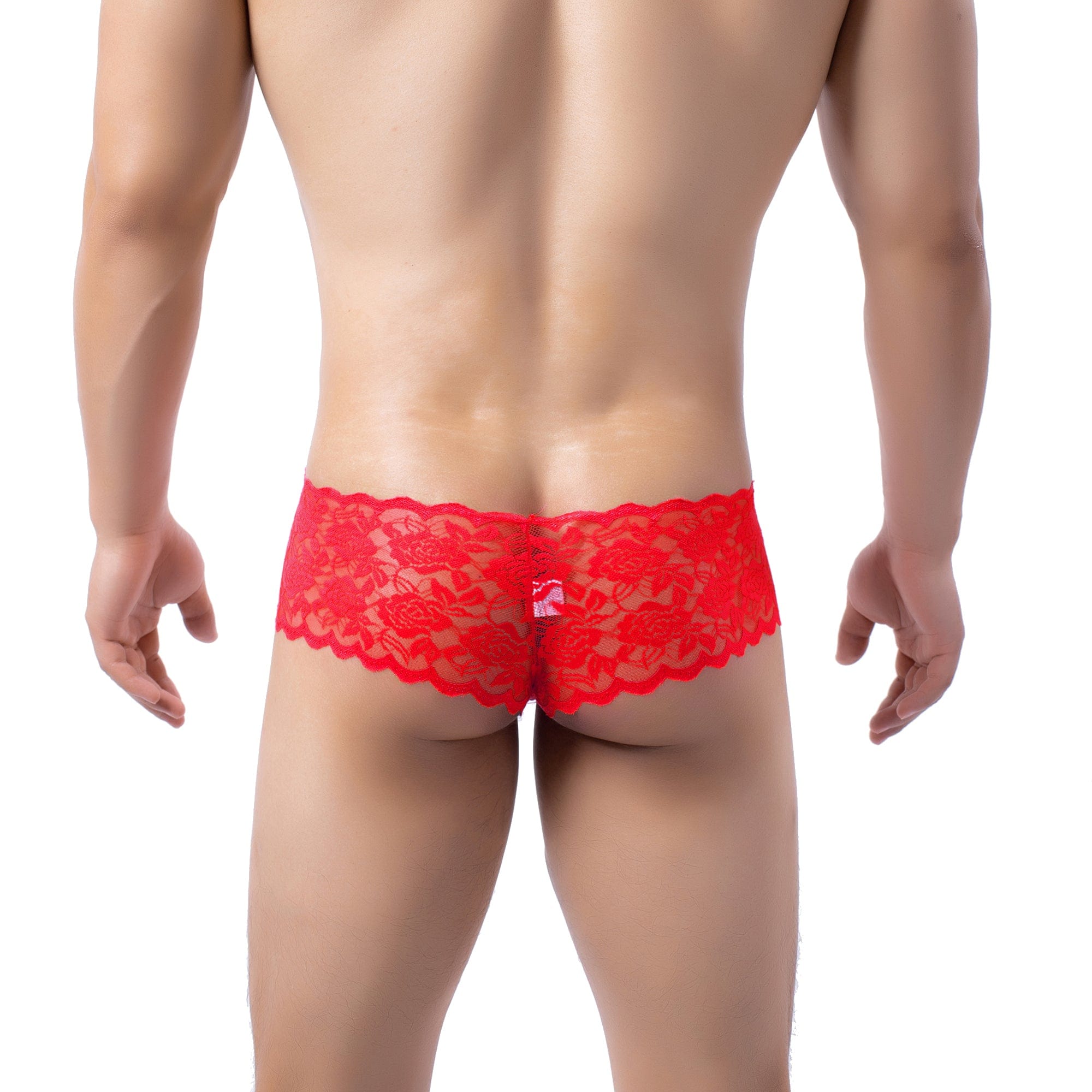 Cheeky Floral Lace Briefs | dmunderwear detail image 5