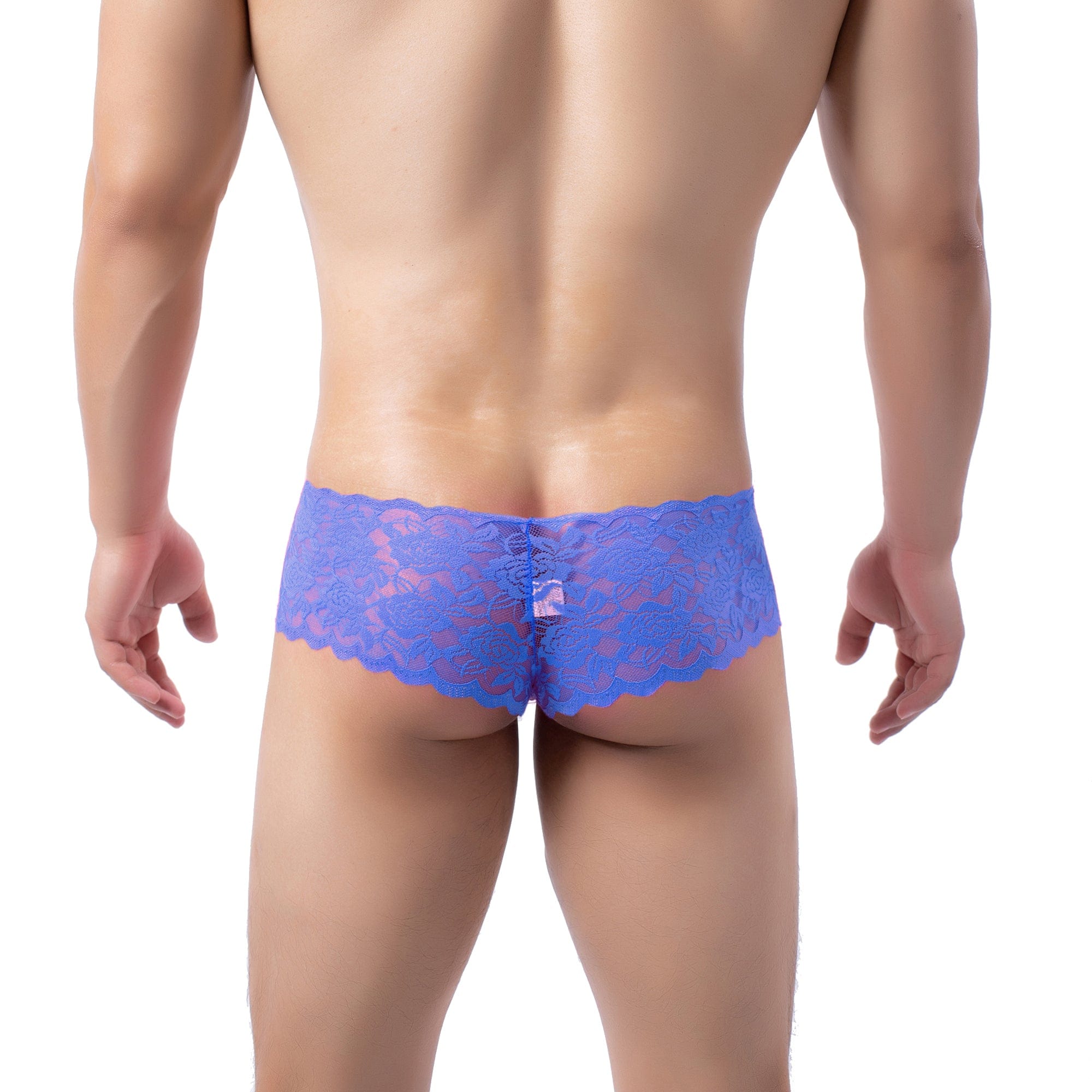 Cheeky Floral Lace Briefs | dmunderwear detail image 9