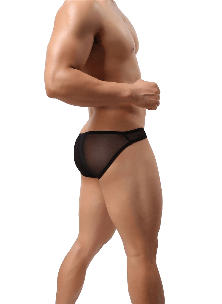 Chromatic Sheer Briefs | dmunderwear detail image 6