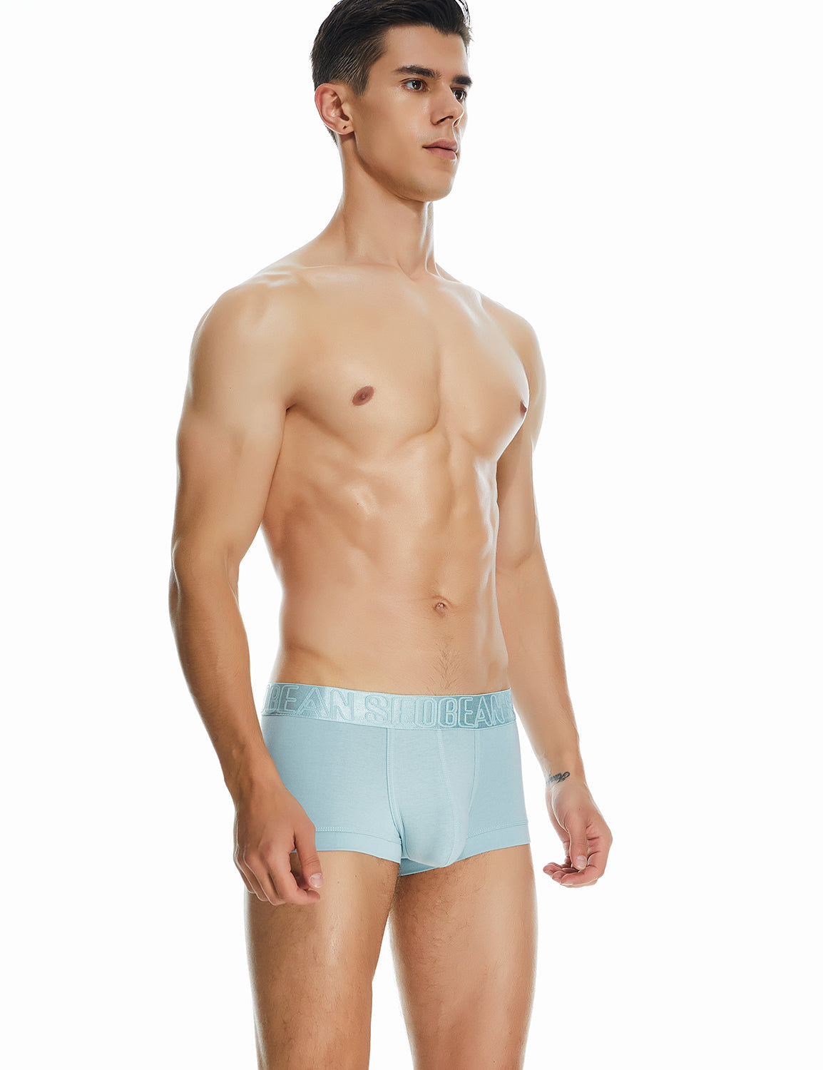 Classic Solid Boxer Brief 220208 | dmunderwear detail image 12