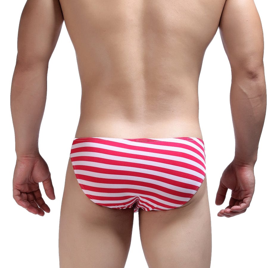 Classic Striped Bikini Briefs | dmunderwear detail image 5