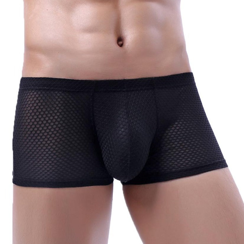 Climax Trunks | dmunderwear
