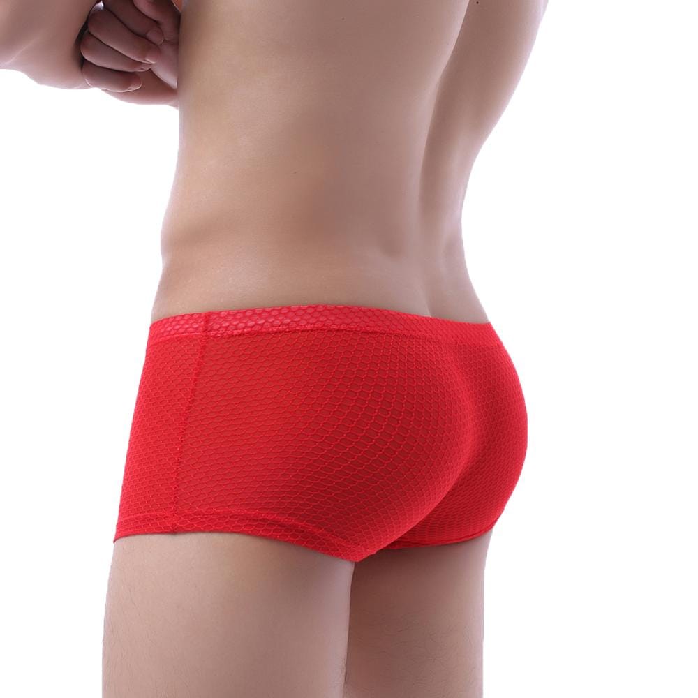 Climax Trunks | dmunderwear detail image 8