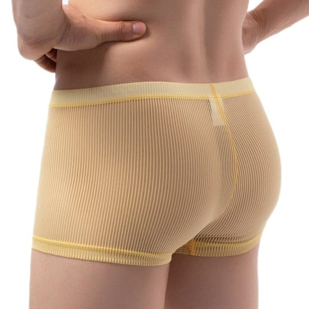 Crystal Trunks | dmunderwear detail image 2