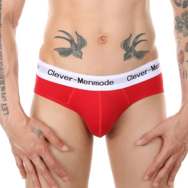 Daily Briefs | dmunderwear