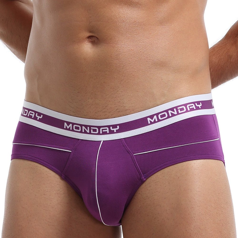 Day of the Week Briefs | dmunderwear variant image