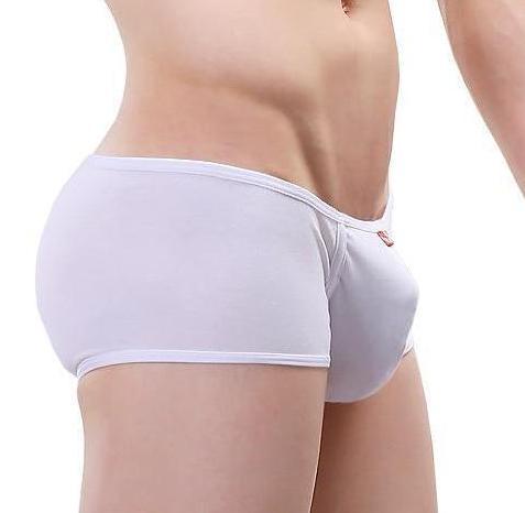 Delicate Trunks | dmunderwear