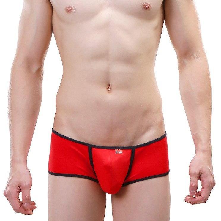 Delicate Trimmed Trunks | dmunderwear detail image 2