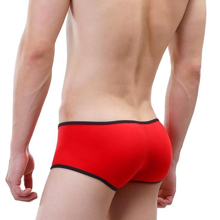 Delicate Trimmed Trunks | dmunderwear detail image 3