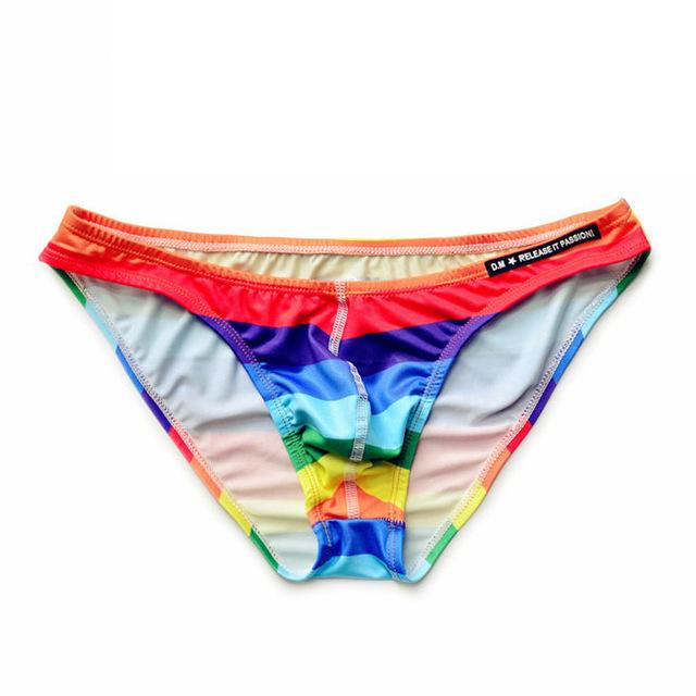 Desmiit Rainbow Swim Briefs | dmunderwear