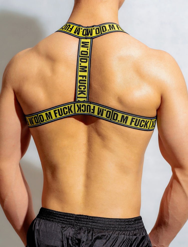 DM F*ck Pec Harness | dmunderwear detail image 10