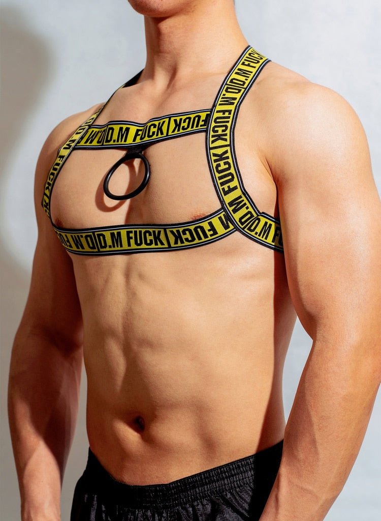 DM F*ck Pec Harness | dmunderwear detail image 7