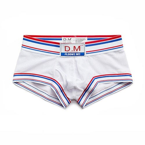 ORVLS DM Fighter Mesh Boxer Briefs | dmunderwear variant image