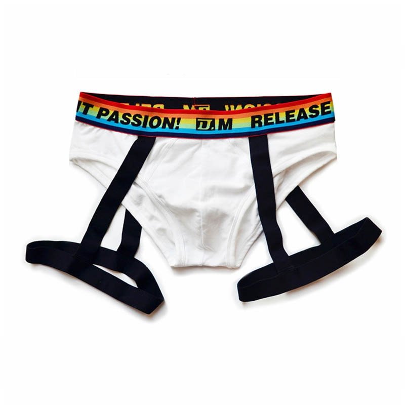 ORVLS DM Rainbow Passion Garter Briefs | dmunderwear