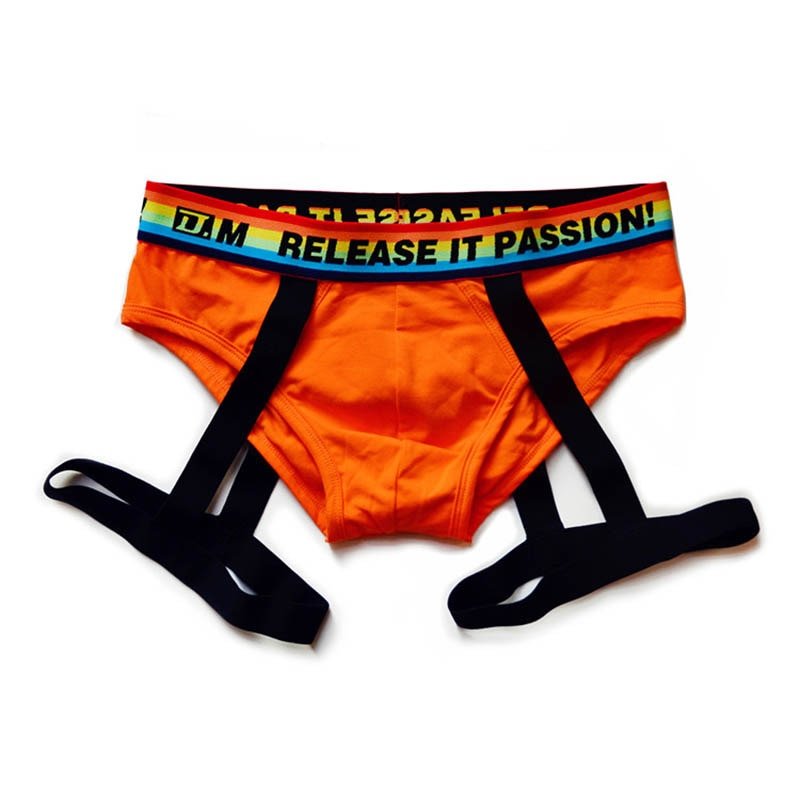 ORVLS DM Rainbow Passion Garter Briefs | dmunderwear detail image 5