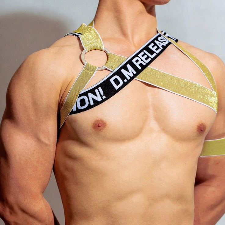 ORVLS DM Release Shimmer Cross Harness | dmunderwear
