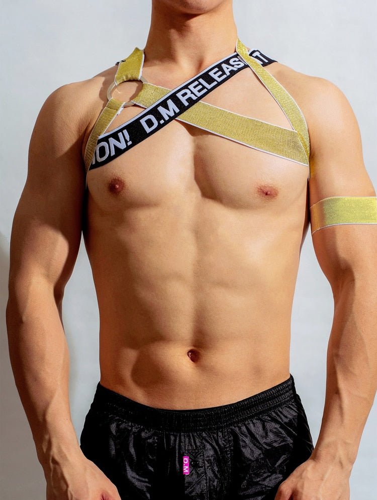 ORVLS DM Release Shimmer Cross Harness | dmunderwear detail image 5