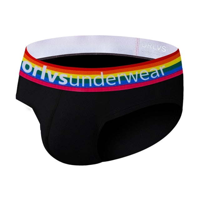 Pride Briefs | dmunderwear variant image