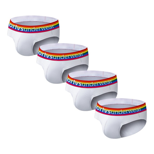 Pride Briefs (4 Pack) | dmunderwear variant image