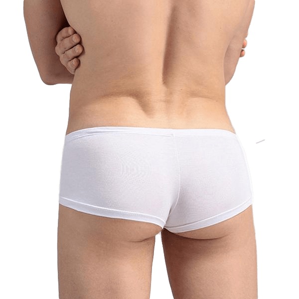 Elephant Briefs | dmunderwear detail image 13