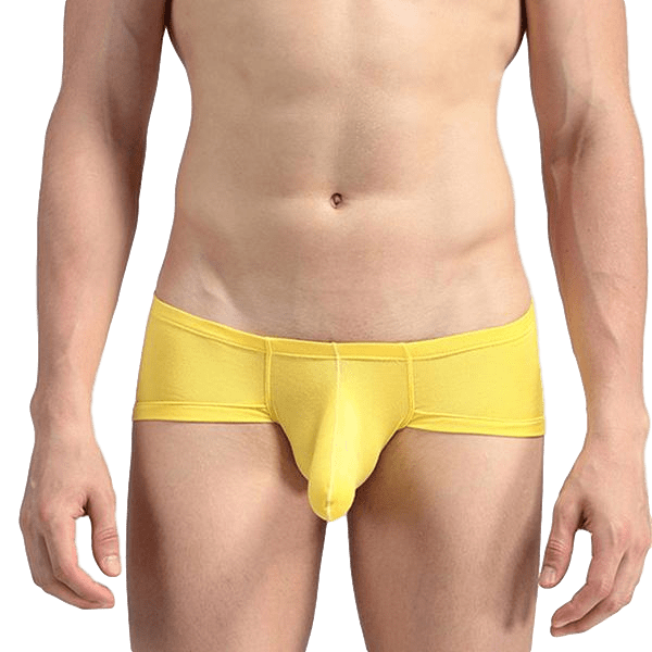 Elephant Briefs | dmunderwear detail image 15