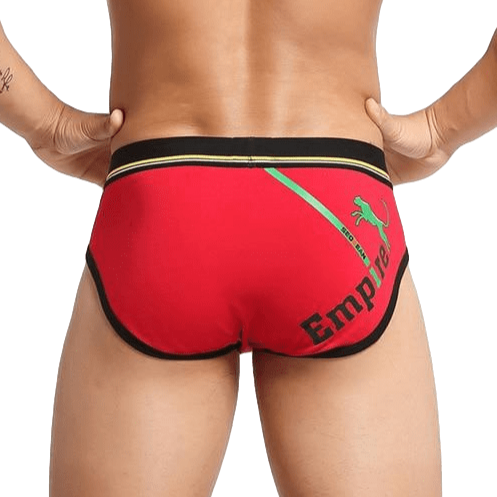 Empire Briefs | dmunderwear