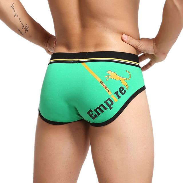 Empire Briefs | dmunderwear detail image 3