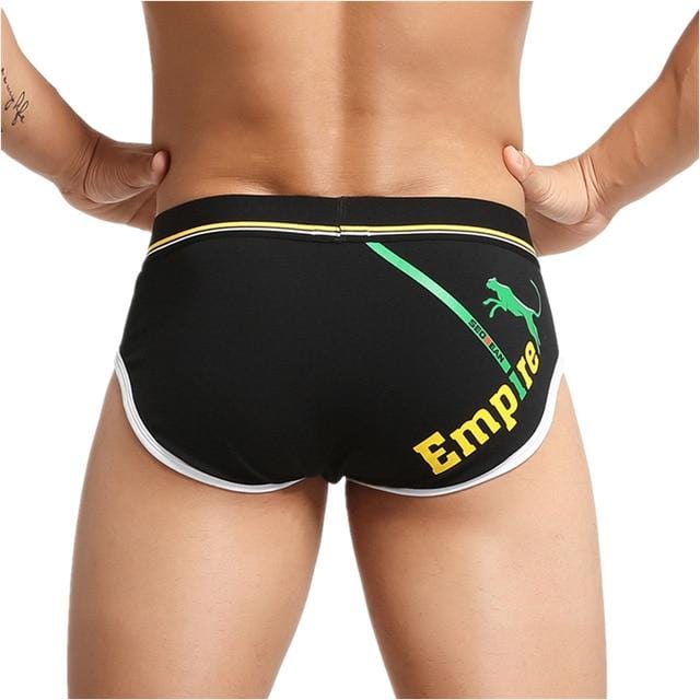 Empire Briefs | dmunderwear detail image 5