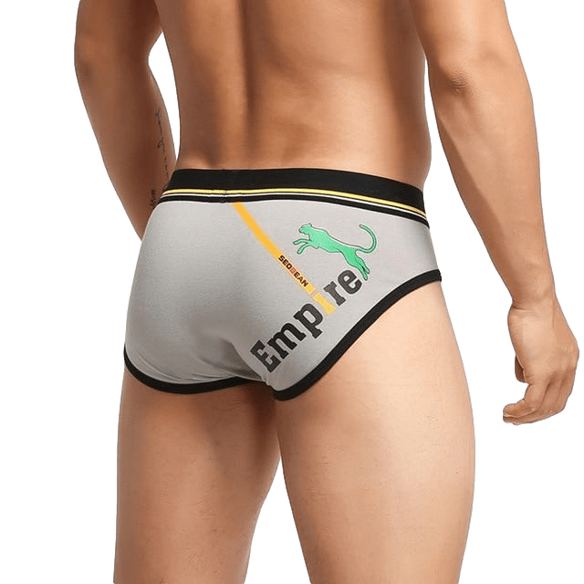 Empire Briefs | dmunderwear detail image 9