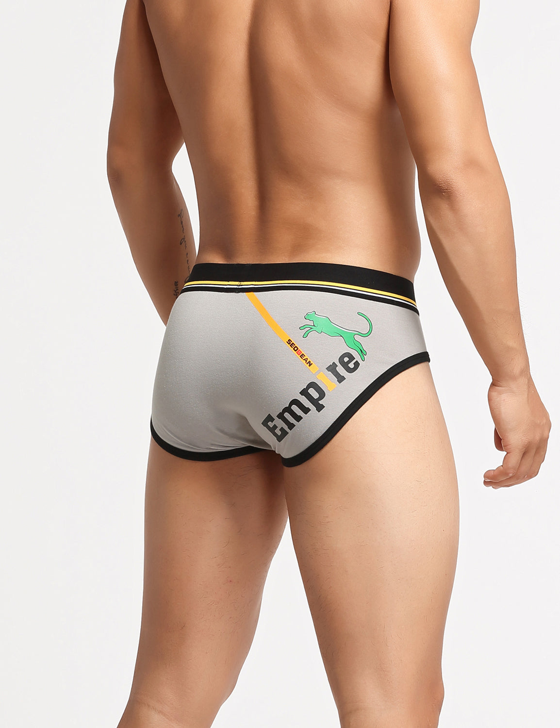 Empire Briefs 10102 | dmunderwear