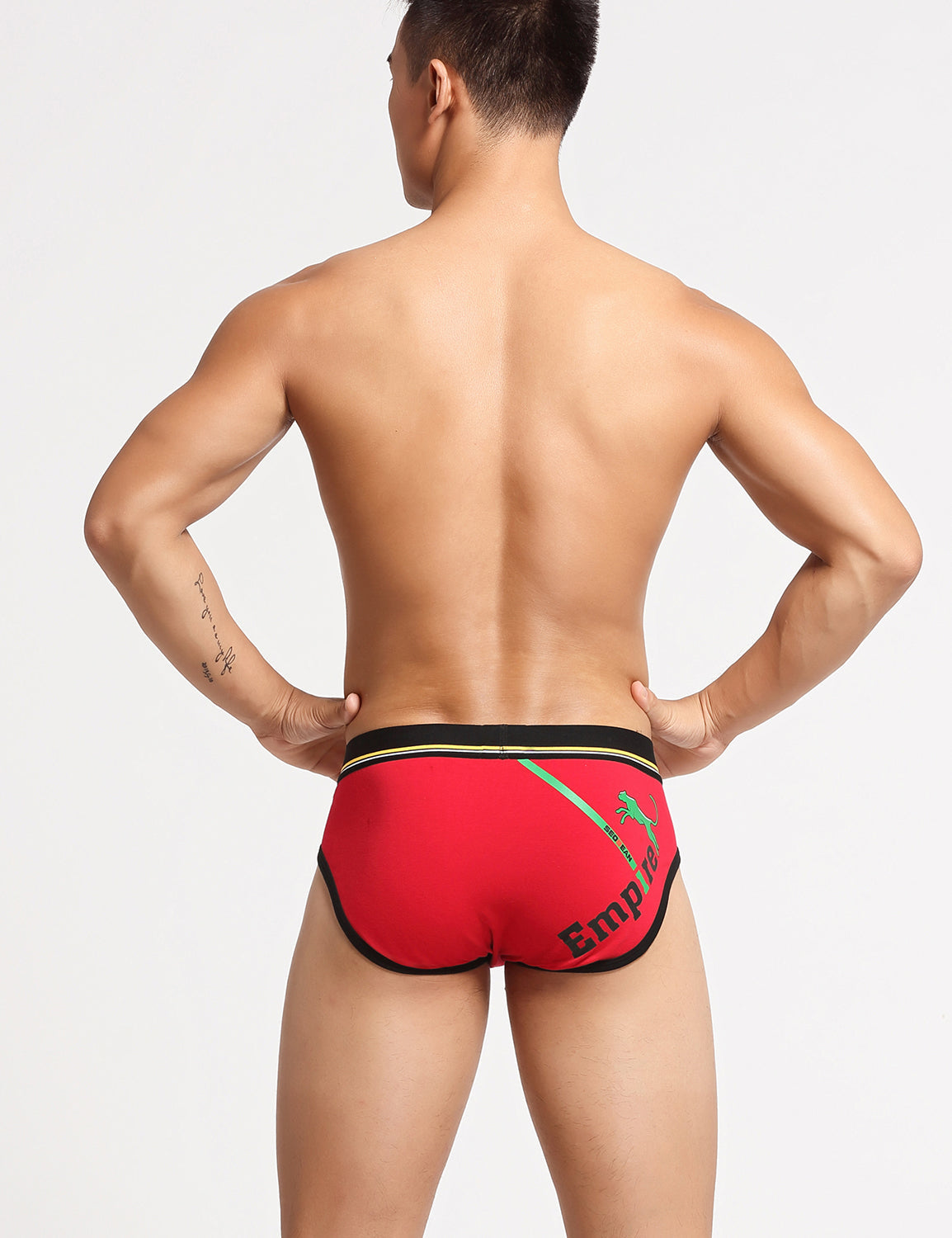 Empire Briefs 10102 | dmunderwear detail image 14