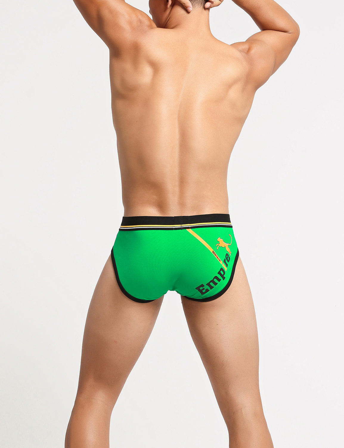 Empire Briefs 10102 | dmunderwear detail image 15
