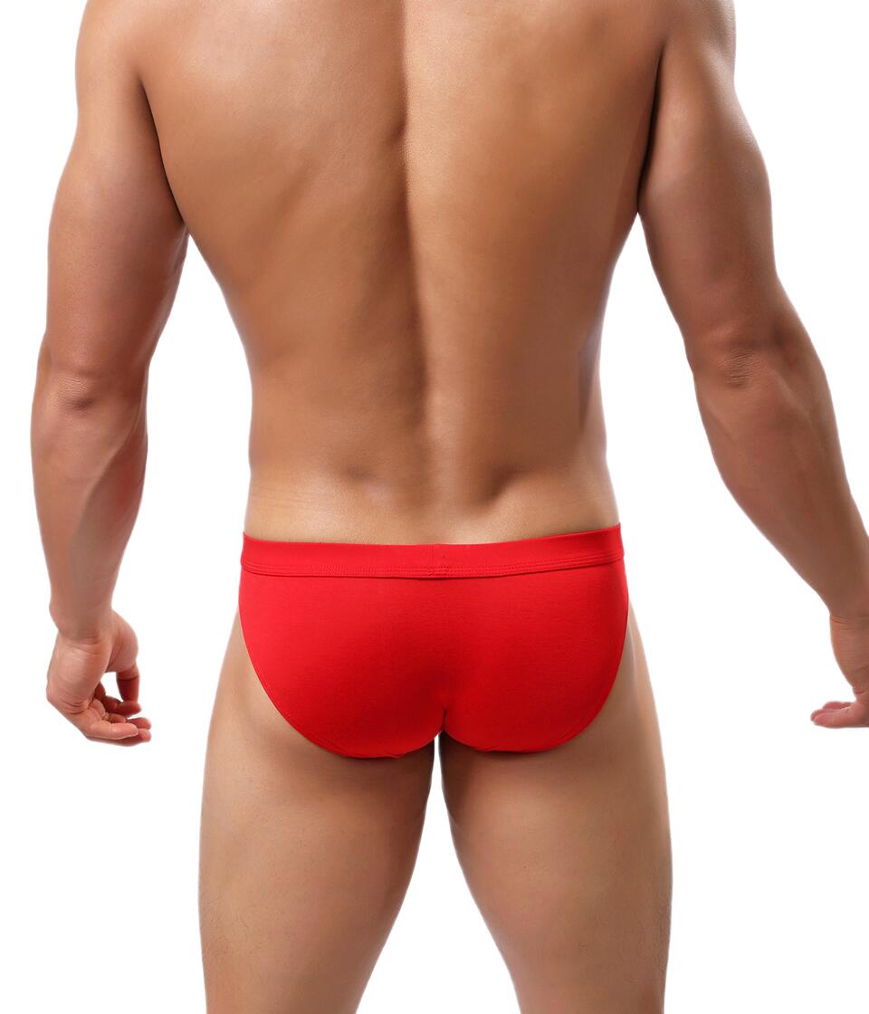 Everyday Pouched Briefs | dmunderwear detail image 6