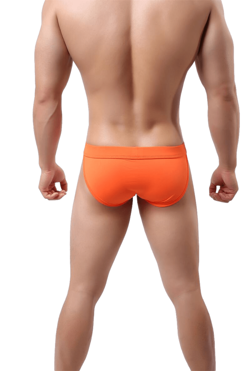 Everyday Tanga Briefs | dmunderwear detail image 9