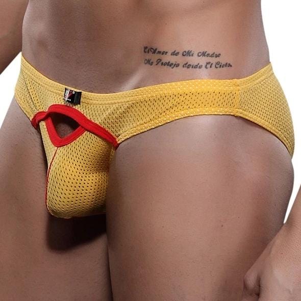 Exposed Bulging Mesh Briefs | dmunderwear